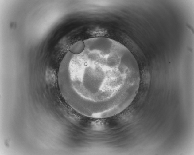 X0000103900761200810031149