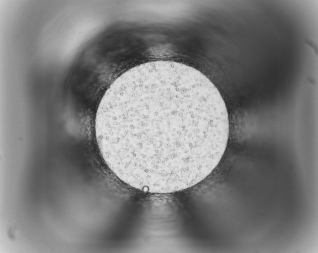 X0000103900762200810031149