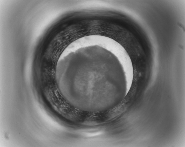 X0000103900765200810031149