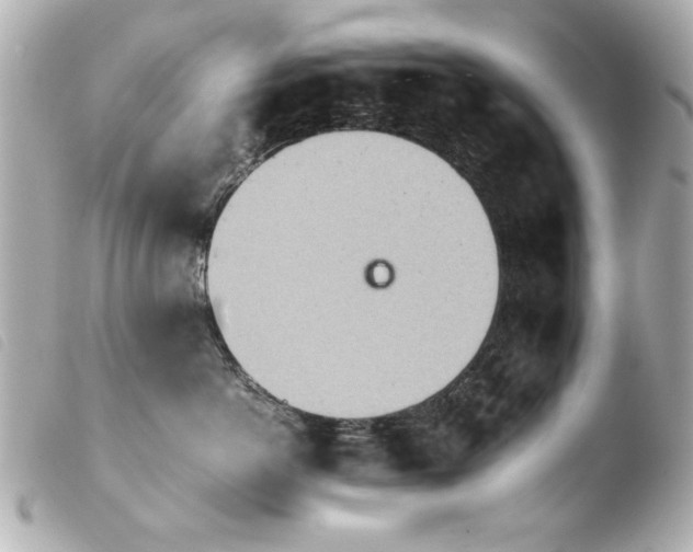 X0000103900766200810031149