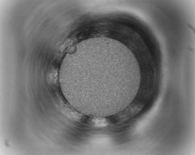 X0000103900767200810031149