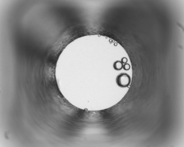 X0000103900768200810031149