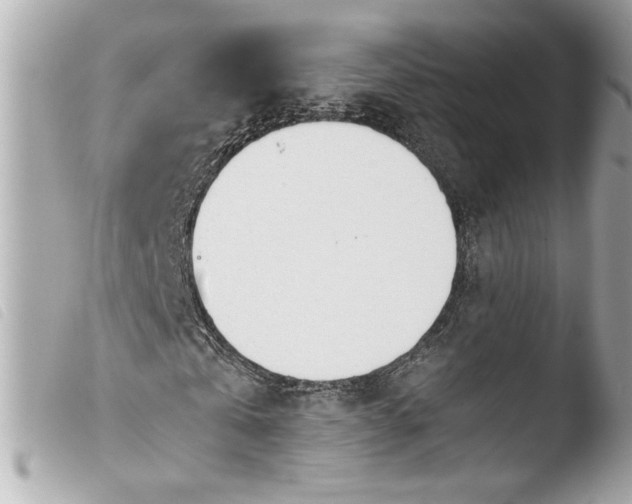 X0000103900769200810031148