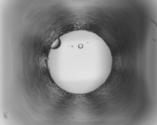 X0000103900770200810031148