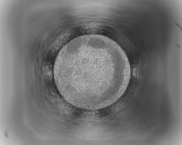 X0000103900771200810031148