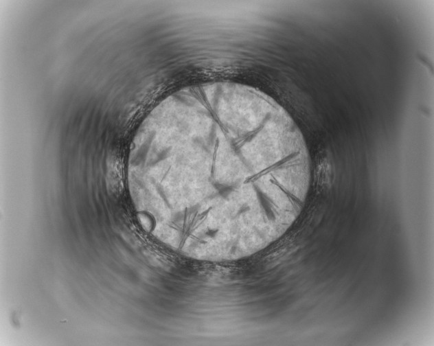 X0000103900772200810031148