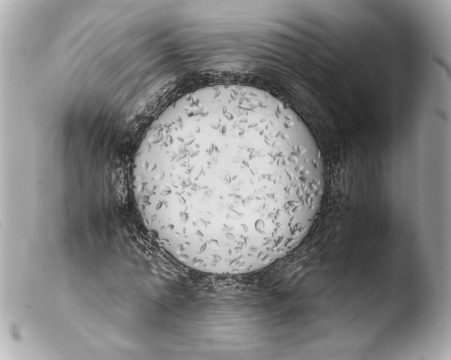 X0000103900774200810031148