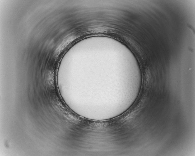 X0000103900778200810031148