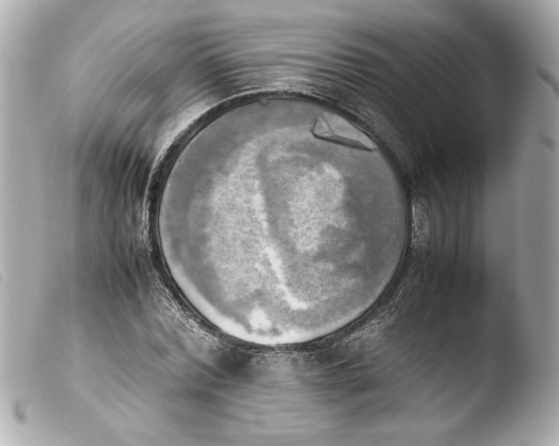 X0000103900780200810031148