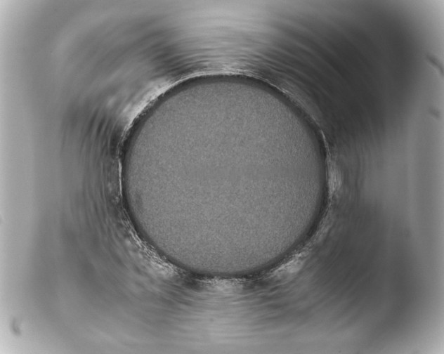 X0000103900781200810031148