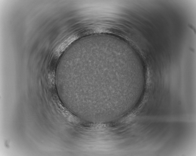 X0000103900785200810031148