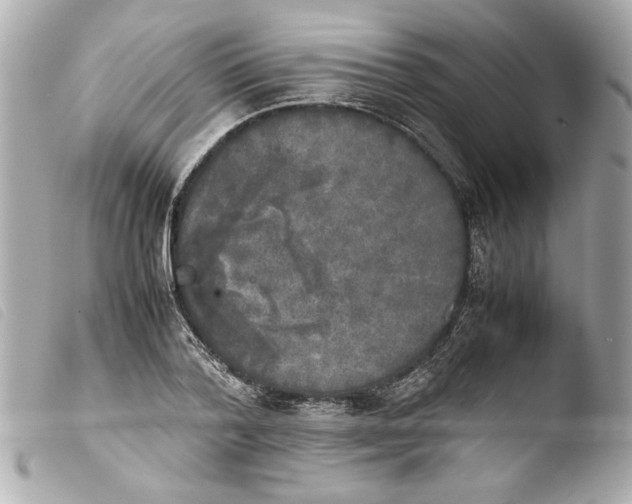 X0000103900788200810031148