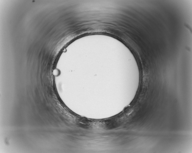 X0000103900789200810031148