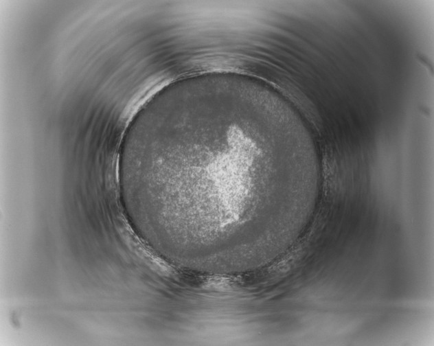 X0000103900790200810031148