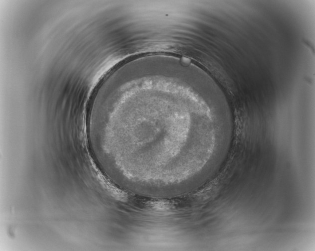 X0000103900792200810031148