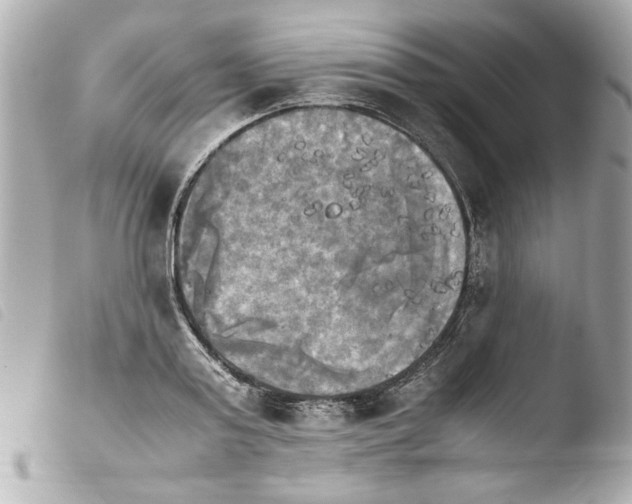 X0000103900795200810031148