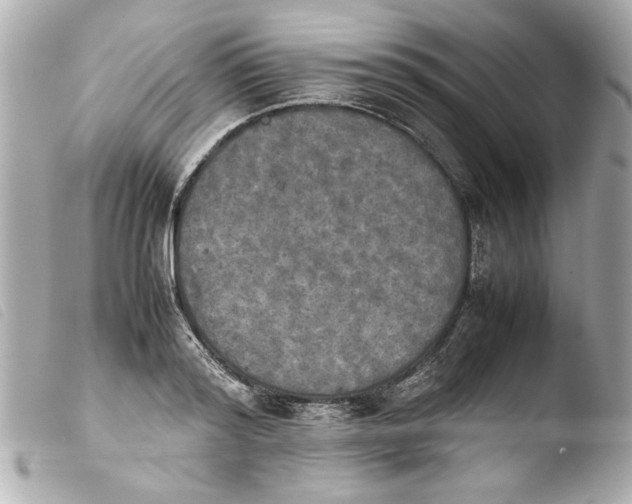 X0000103900796200810031148