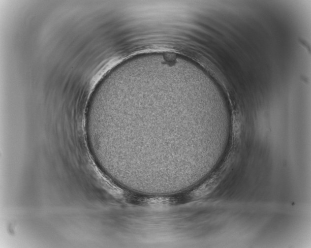 X0000103900797200810031148