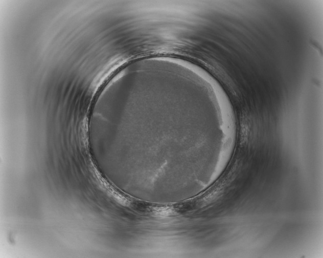 X0000103900798200810031148