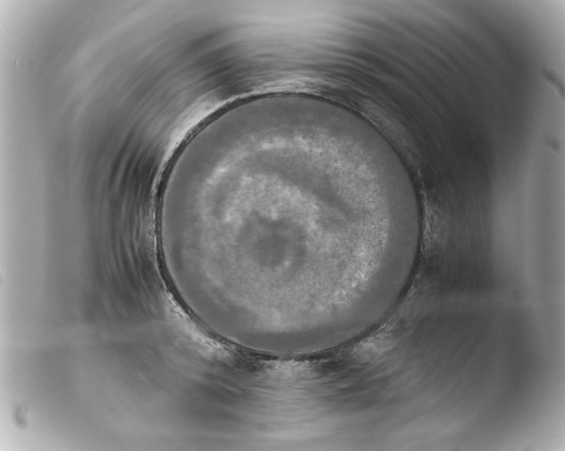 X0000103900800200810031148