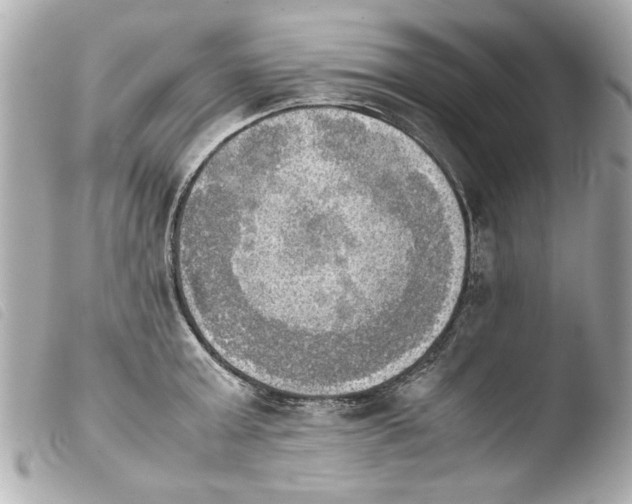 X0000103900803200810031148