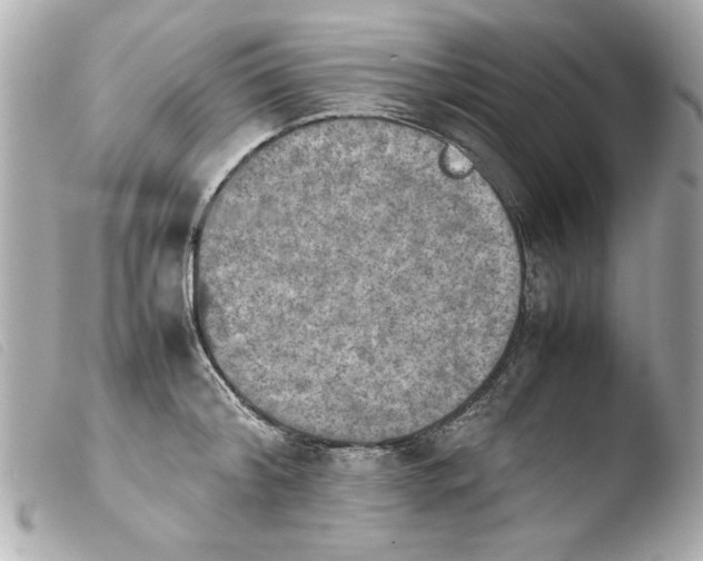 X0000103900804200810031148