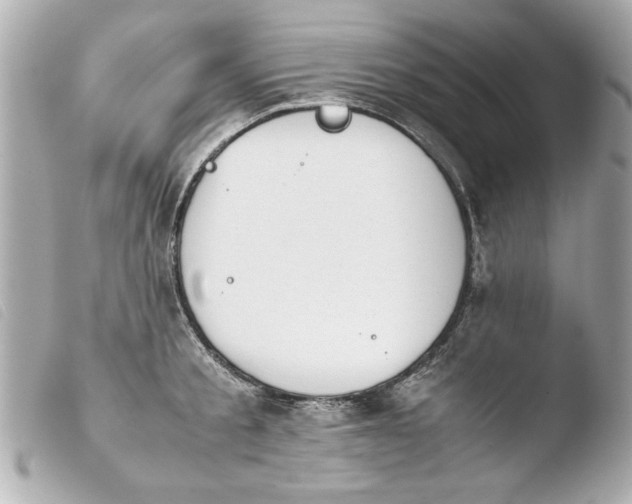 X0000103900805200810031148