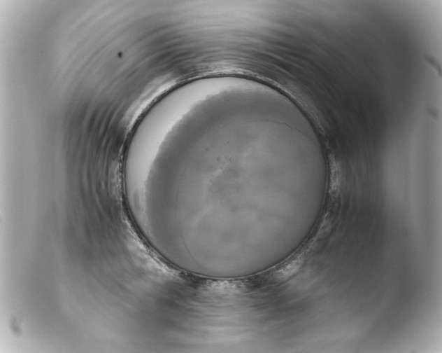 X0000103900806200810031148