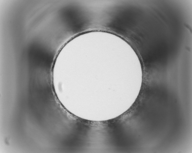 X0000103900807200810031148