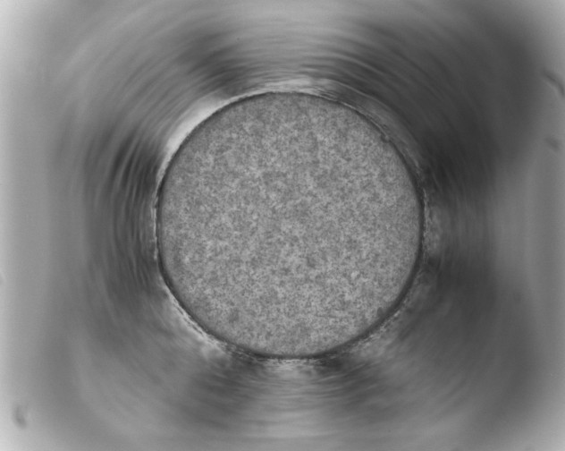 X0000103900808200810031148