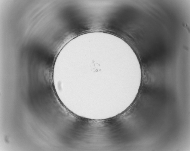 X0000103900810200810031147