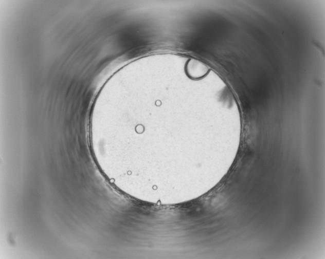 X0000103900811200810031147