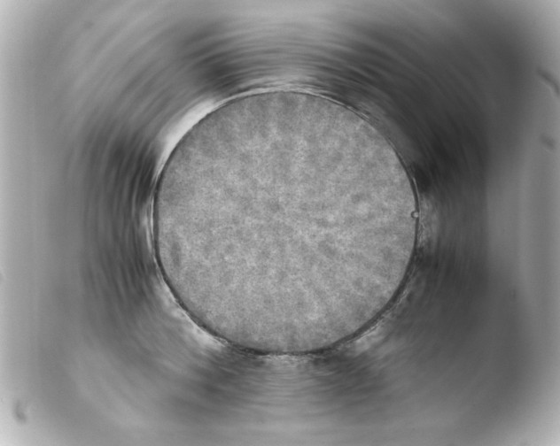 X0000103900812200810031147