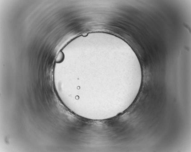 X0000103900814200810031147