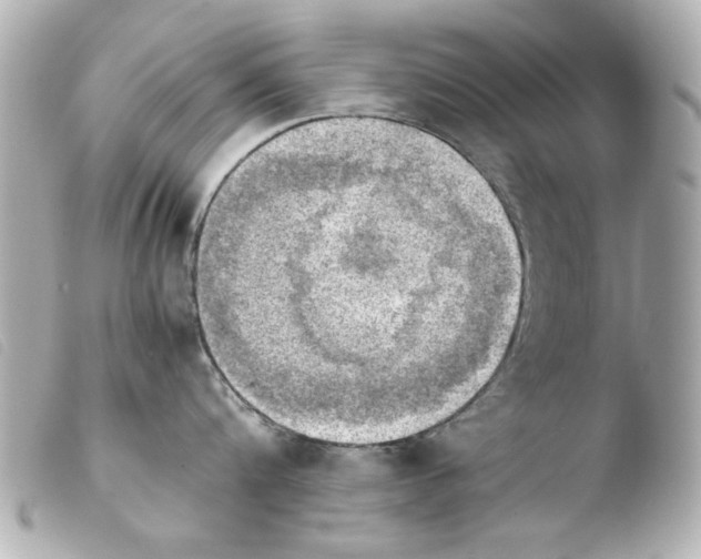 X0000103900816200810031147