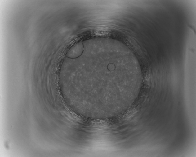 X0000103900817200810031146