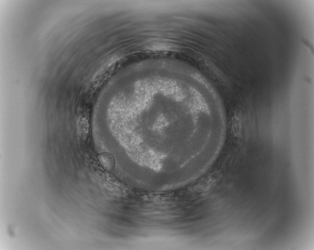 X0000103900821200810031147