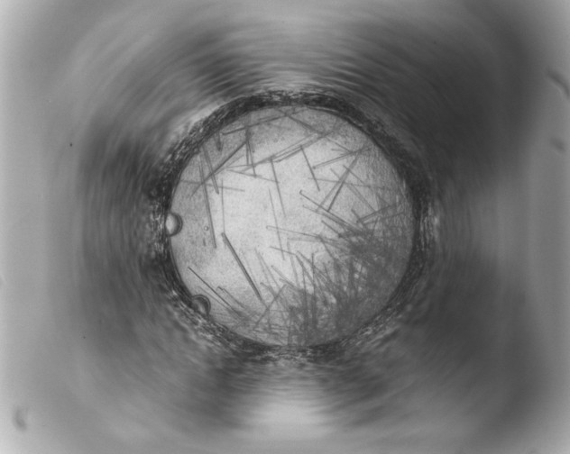 X0000103900822200810031147