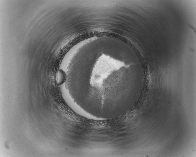 X0000103900823200810031147