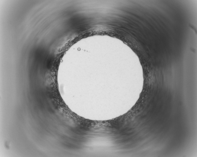 X0000103900824200810031147