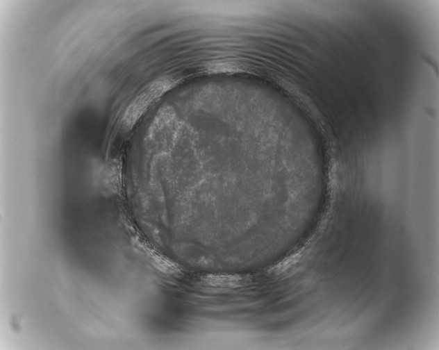 X0000103900825200810031147