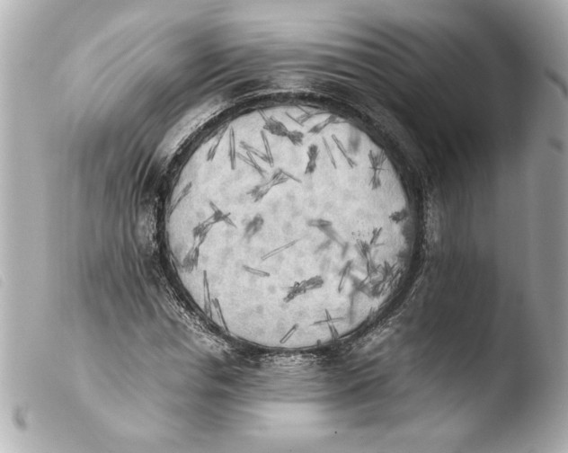 X0000103900826200810031147