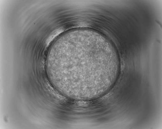 X0000103900827200810031147