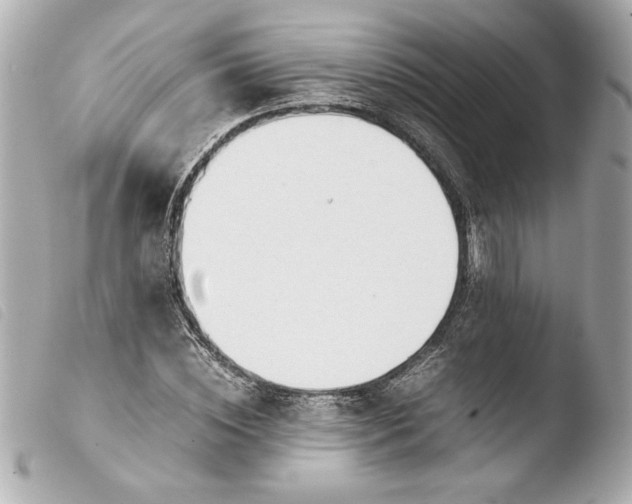 X0000103900828200810031147