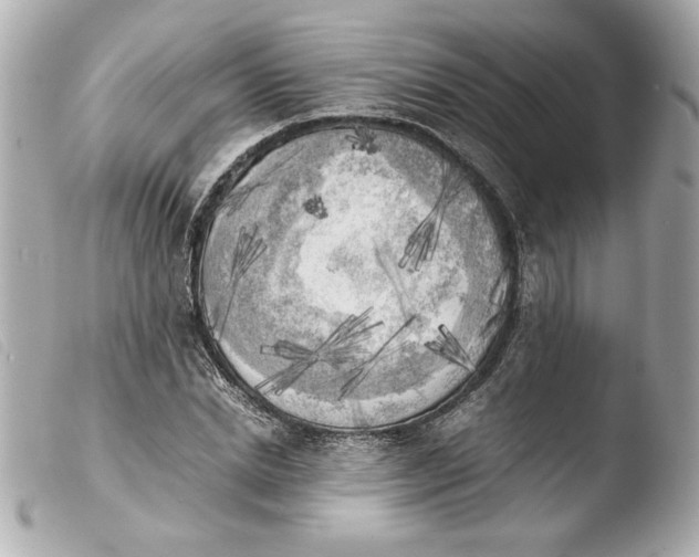 X0000103900830200810031147