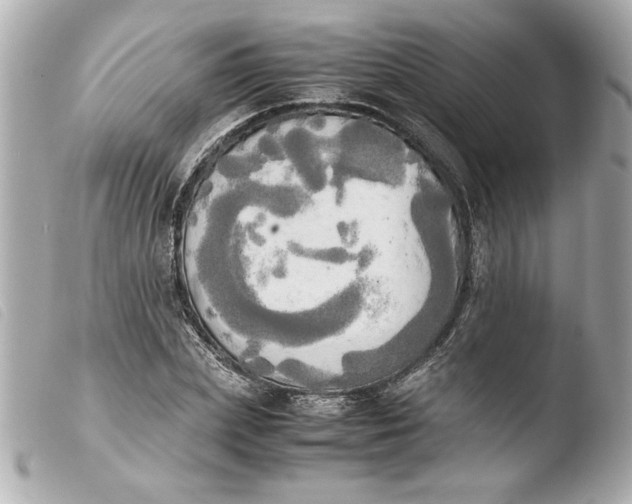 X0000103900831200810031147