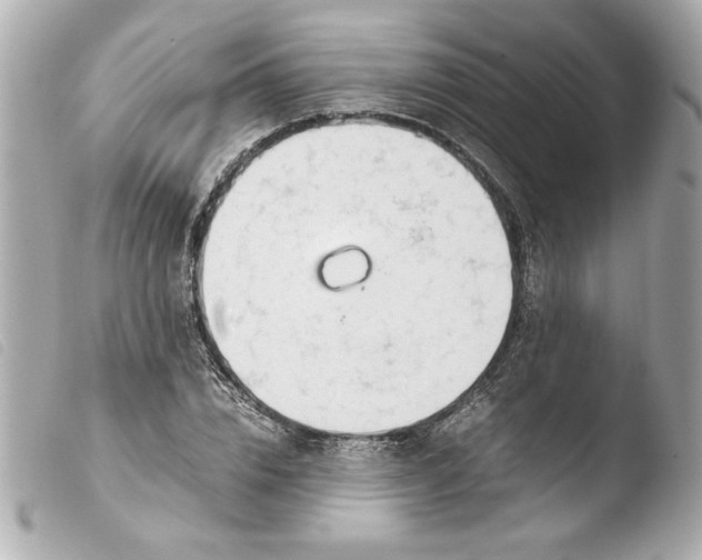 X0000103900832200810031147