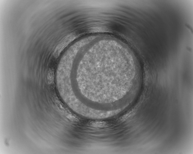 X0000103900833200810031147