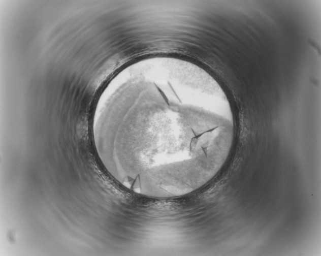 X0000103900834200810031147