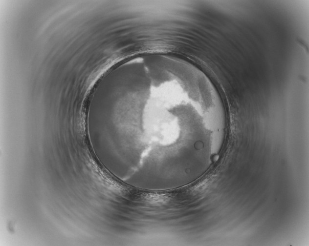 X0000103900835200810031147